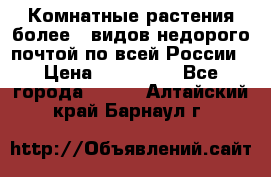 Комнатные растения более200видов недорого почтой по всей России › Цена ­ 100-500 - Все города  »    . Алтайский край,Барнаул г.